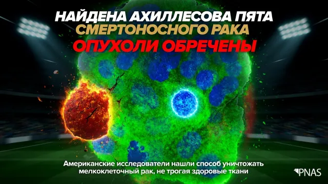 Найдена ахиллесова пята смертоносного рака. Опухоли обречены